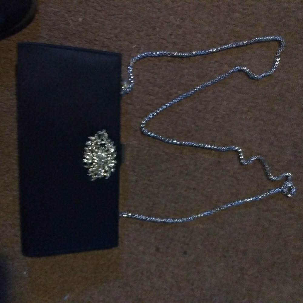 Adrianna Papell Clutch